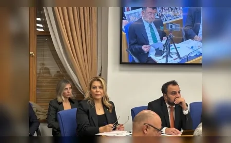 CHP GİRESUN MİLLETVEKİLİ ELVAN IŞIK GEZMİŞ: “611 BİN ÇOCUK OKUL DIŞINDA, MESEM ÇOCUK İŞÇİLİĞİNİN KURUMSALLAŞMIŞ HÂLİNE DÖNÜŞTÜ”