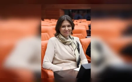 SEDA GÖREN TBMM’DE 2803 SAYILI GAZZE KARARINI SAVUNDU “ATEŞKES BEBEKLERİN AÇLIKTAN ÖLMEMESİDİR, TÜRKİYE GAZZE’DE ELİNİ TAŞIN ALTINA KOYACAKTIR”