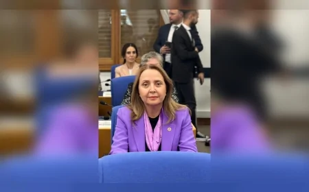 CHP’Lİ SEMRA DİNÇER: “YUSUF TEKİN TÜRK EĞİTİM SİSTEMİNE YAPILMIŞ BİR SUİKASTTIR; ALTINDAĞ’DA 67 MİLYONLUK OKUL İHALESİ 465 MİLYONA ŞİŞİRİLDİ, ORTADA TEK TUĞLA YOK”