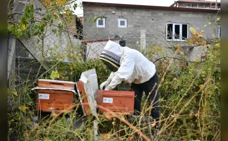 Kayseri’de “Kovan Sizden Arı Bizden” Projesiyle Hobi Arıcılığına Başlayan Emekli Üretici Aldığı Verim İçin Başkan Memduh Büyükkılıç’a Teşekkür Etti