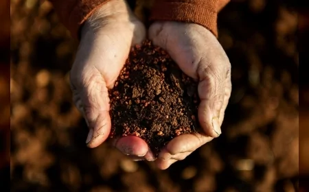 Mersin Büyükşehir Belediyesi İklim Değişikliği ve Yeşil Dönüşümde Uluslararası Standartlara Ulaşan Stratejik Adımlarla Türkiye’de Öncü Konumunu Güçlendiriyor