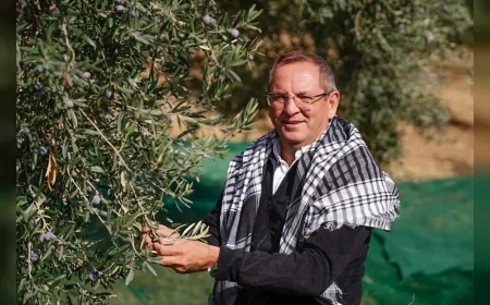 Ayvalık Belediye Başkanı Mesut Ergin: “Dünya Zeytin Ağacı Günü bizim için çok özeldir”