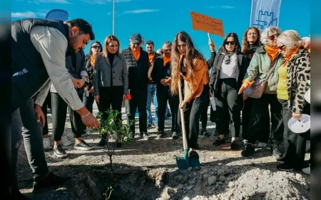 Çeşme’de 25 Kasım’da 411 Fidan, Yürüyüşler ve Sanat Etkinlikleriyle Erkek Şiddetine Karşı Güçlü Bir Çağrı Yükseldi