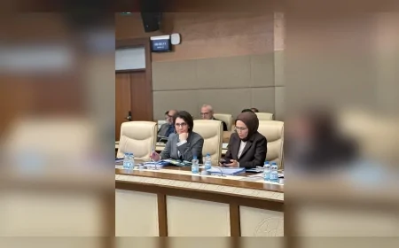 CHP Ankara Milletvekili Dr. Aylin Yaman: “Üniversitelerde Engelli Öğrenci Oranı Binde 8’e Düşmüşse Bu, Erişilebilirlik Sorununun En Net Göstergesidir”