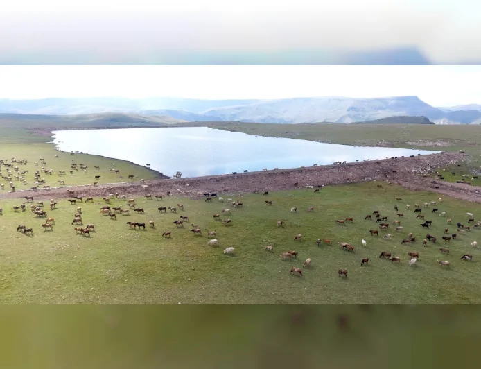 Erzurum Büyükşehir Belediye Başkanı Mehmet Sekmen: “11 Yılda 800’ün Üzerinde Gölet Yaptık, Hayvan Varlığı Artıyor”