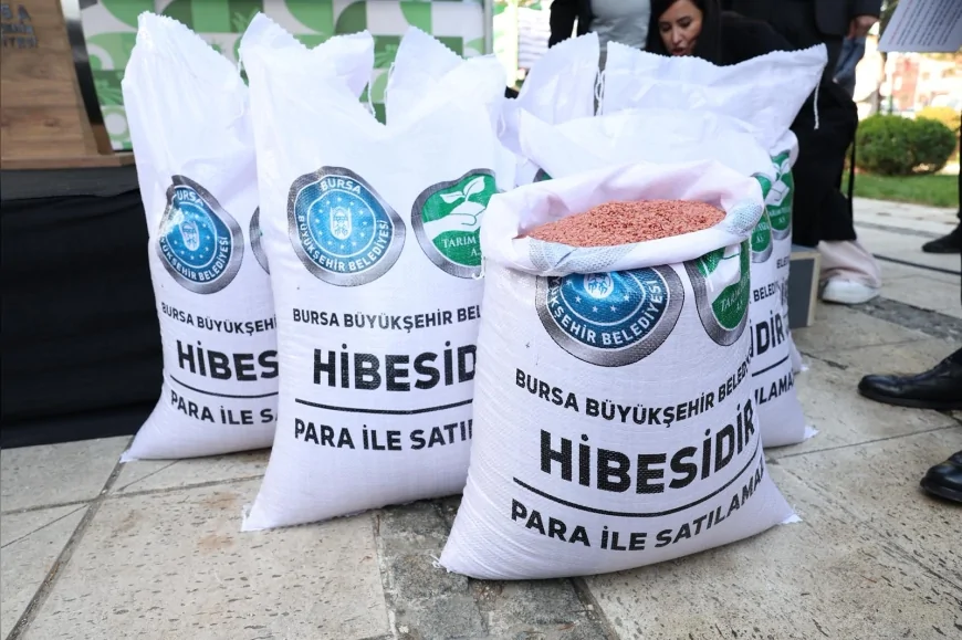 Bursa Büyükşehir Belediyesi’nden Çiftçiye Yerli Tohum Desteği: 44 Ton Buğday 400 Üreticiye Yüzde 100 Hibeyle Dağıtıldı