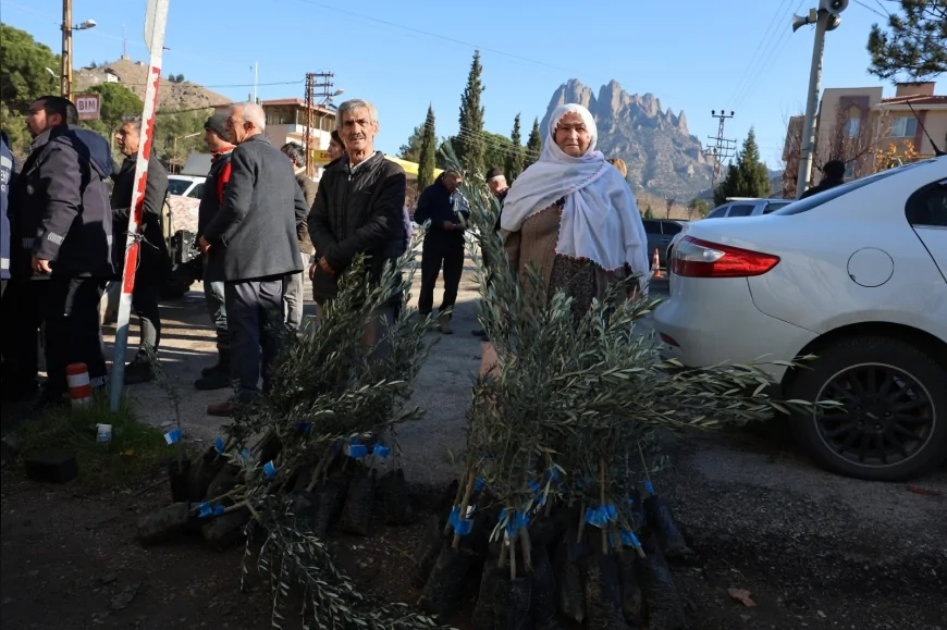 Eskişehir Büyükşehir Belediyesi’nden Üreticilere Zeytin Fidanı Desteği
