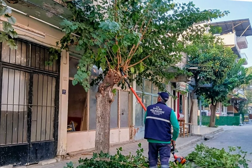 Efeler Belediyesi Park ve Bahçeler Müdürlüğü: “Ağaç Budama Çalışmalarımız İlçe Genelinde Planlı Şekilde Devam Ediyor”