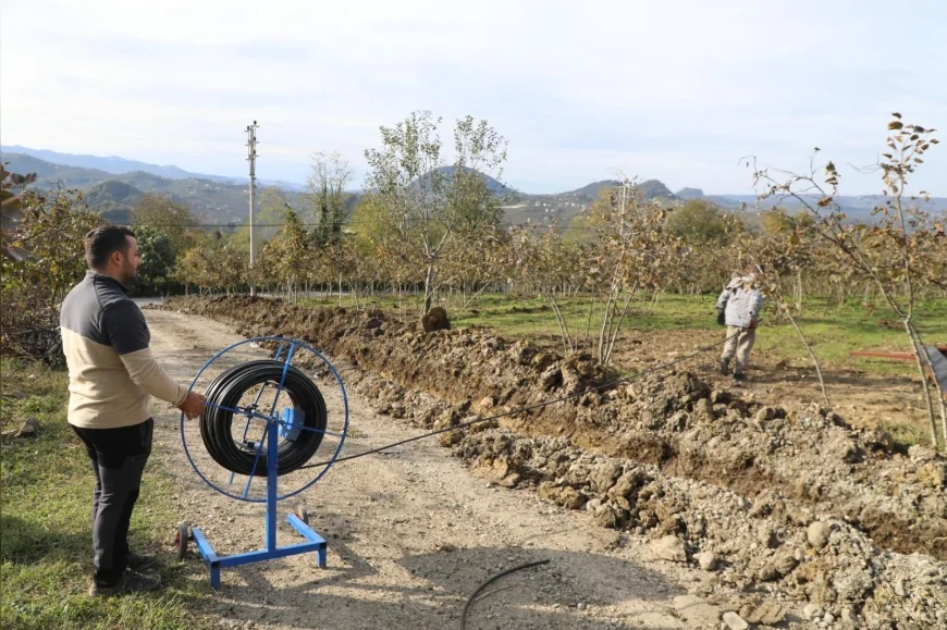 Ordu Büyükşehir Belediyesi FINVER Projesi Kapsamında Fındık Bahçelerine Damlama Sulama Sistemi Kuruyor