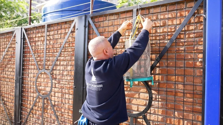 İzmir Büyükşehir Belediyesi’nden Karasinekle Yoğun Mücadele: Kent Genelinde 12 Ay Aralıksız İlaçlama