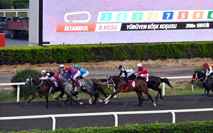 Yalova Belediye Başkanı Mehmet Gürel: “Yürüyen Köşk Koşusu Atatürk’ün Doğa Sevgisini Gelecek Nesillere Aktarıyor”