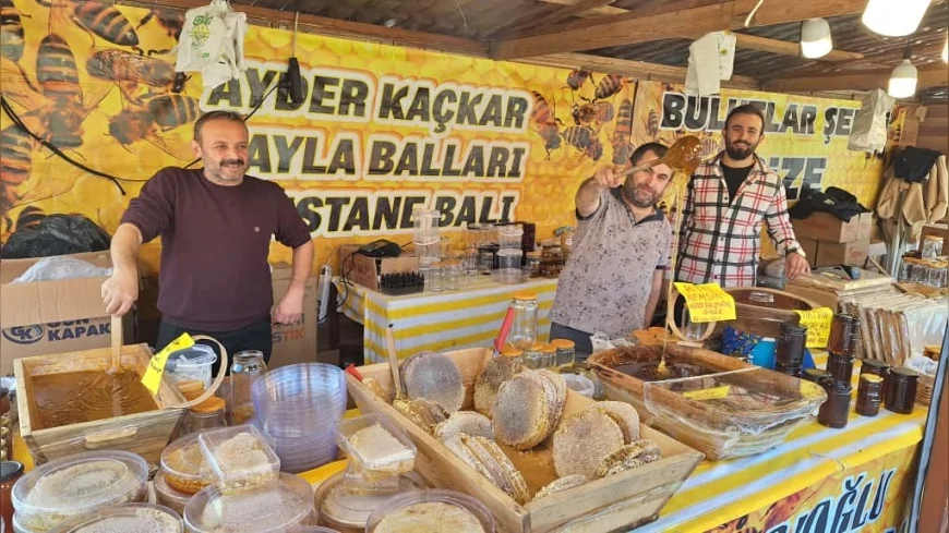 Denizli’de 13. Hamsi Şöleni Başladı: Volkan Konak Anısına 5 Ton Hamsi İkram Ediliyor