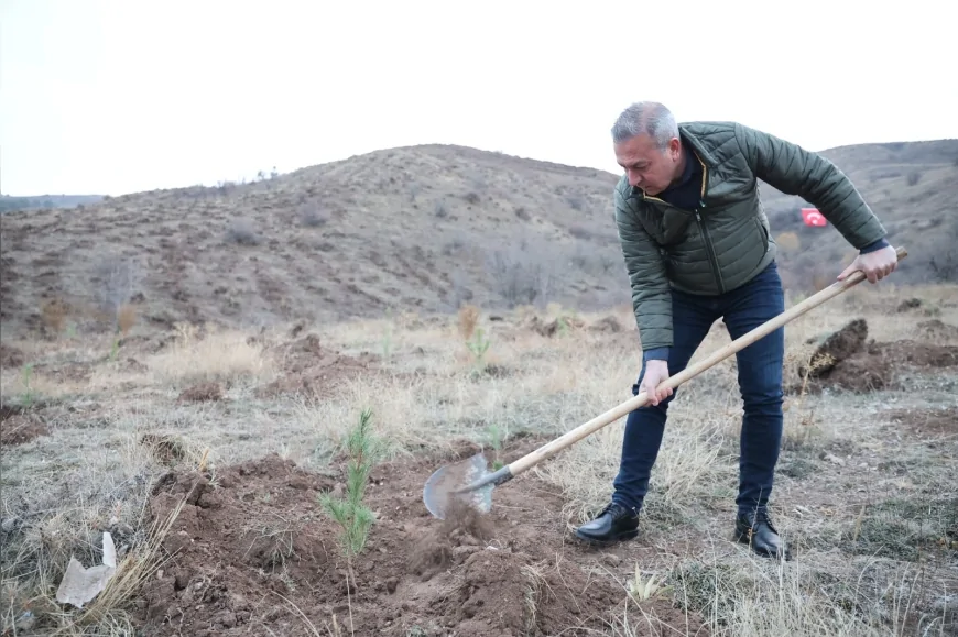 Sivas Belediyesi’nden Anlamlı Proje: 58 Bin Fidan Muhsin Yazıcıoğlu Vefa Ormanı’nda Toprakla Buluştu