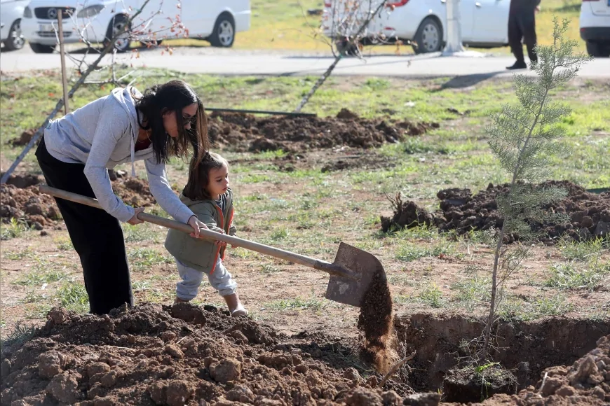 Yenimahalle Belediyesi 11 Kasım Milli Ağaçlandırma Günü’nde Cumhuriyet Mahallesi’nde Yeni Fidanları Toprakla Buluşturdu