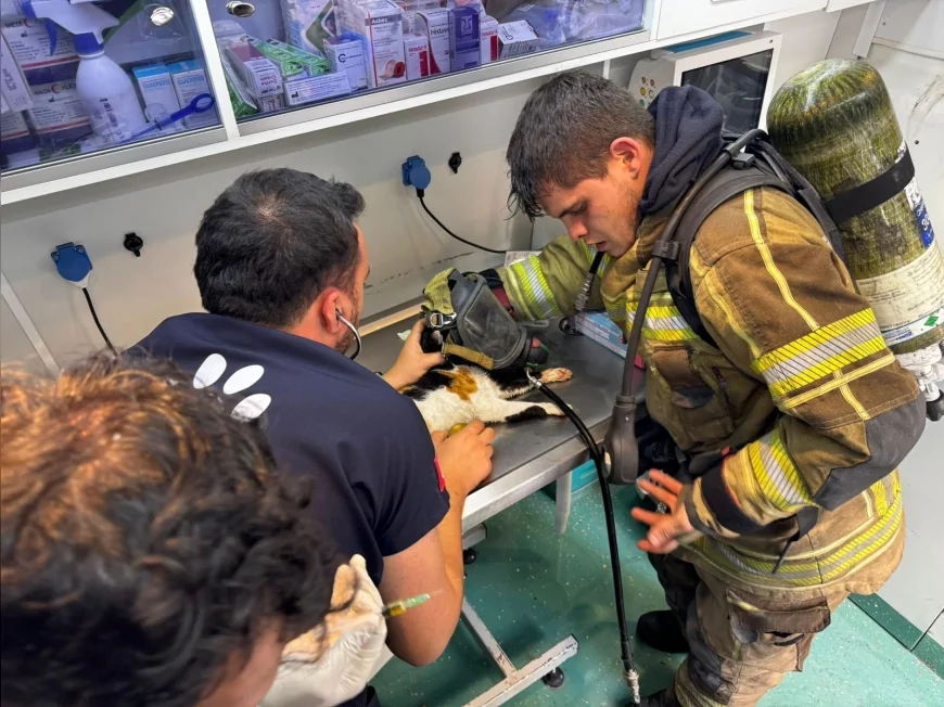 İzmir’de Mazgala Düşen Kayıp Köpek ve Yangında Mahsur Kalan Kediler İtfaiye Tarafından Kurtarıldı