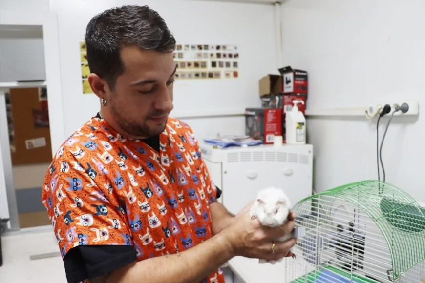 Yalova Belediyesi Rehabilitasyon Merkezine Bırakılan Ginepig İçin Sahiplenme Çağrısı Yapıldı