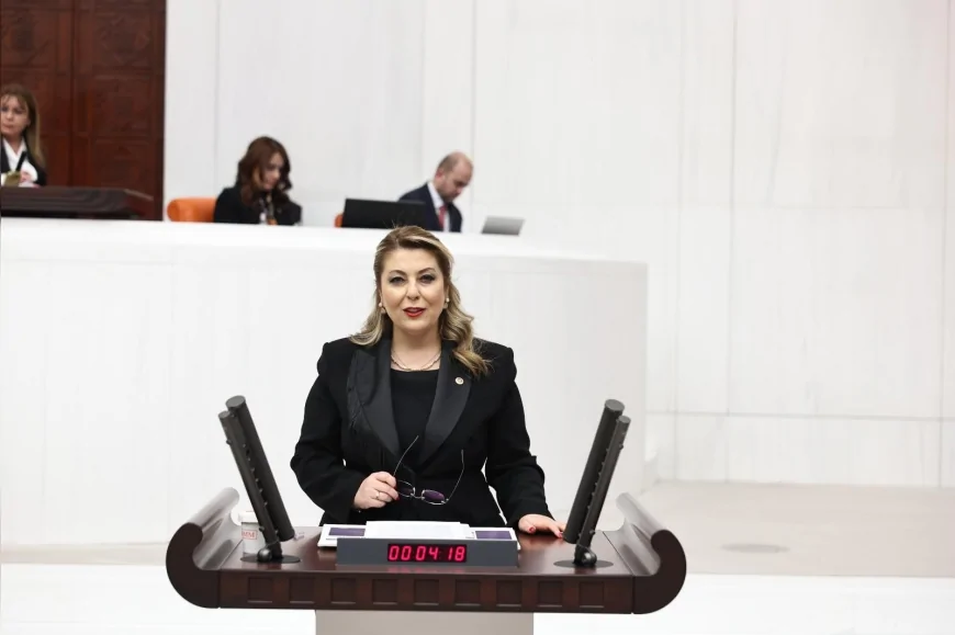 Cumhuriyet Halk Partisi Giresun Milletvekili Elvan Işık Gezmiş: “Aile Yılı ilan edilen bu dönemde bütçe yoksulluğu ve eşitsizliği azaltmıyor”