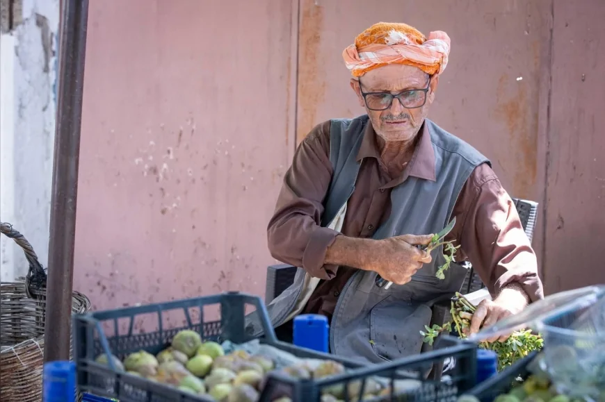 İzmir Büyükşehir Belediyesi Beydağ’da 212 Üreticiye 1034 Kerevet Dağıtarak İncirin Katma Değerini Artıran Destek Programını Başlattı