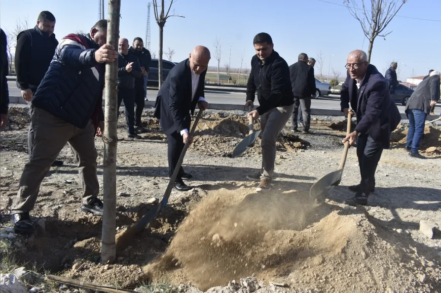 Şereflikoçhisar’da Vatandaşların Katılımıyla Diş Budak Ağaçları Dikildi ve Geleneksel Ağaçlandırma Programı Başlatıldı