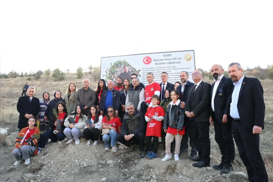 Mamak Yukarı İmrahor Ağaçlandırma Sahası’nda Şehit Bayram Eren Arslan İçin Dikilen Yüzlerce Fidanla Hatıra Ormanı Oluşturuldu