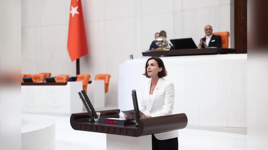 ALİYE COŞAR TBMM’DE TORBA KANUNUN 13’ÜNCÜ MADDESİNİ ELEŞTİRDİ “BU DÜZENLEME HUKUKSUZ İŞGALİ MEŞRULAŞTIRIR, MÜLKİYET HAKKINI YOK SAYAR”