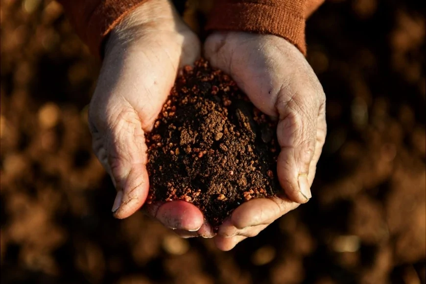 Mersin Büyükşehir Belediyesi İklim Değişikliği ve Yeşil Dönüşümde Uluslararası Standartlara Ulaşan Stratejik Adımlarla Türkiye’de Öncü Konumunu Güçlendiriyor