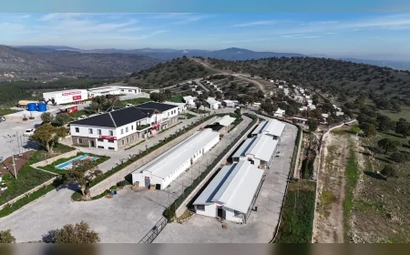 Yunusemre Hayvan Yaşam Merkezi Sahipsiz Can Dostlara Modern Bakım ve Genişletilen Doğal Yaşam Alanlarıyla Güvenli Bir Yuva Sunuyor