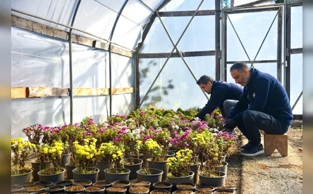 Giresun Belediyesi Park ve Bahçeler Şantiyesi ile Serayı Çocuklara Açıyor: “Toprağı Deneyimleyen Bir Nesil Yetiştirmek İstiyoruz”