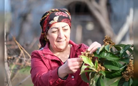 Dünya Toprak Günü’nde Yalovalı Çiftçiler Üretim Yolculuklarını Anlattı: “Toprakla uğraşmak insanla mücadele etmekten daha kolay”