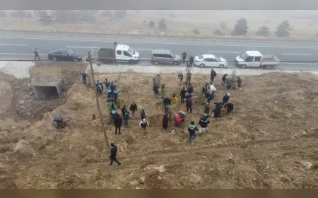 Kayseri Büyükşehir Belediyesi Yahyalı Ağcaşar Barajı Mesire Alanında 1200 Fidanlık Ağaçlandırma Çalışmasına İlçe Belediyeleri ve Vatandaşlar Geniş Katılım Gösterdi