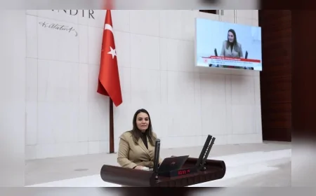 İYİ PARTİ ADANA MİLLETVEKİLİ AYYÜCE TÜRKEŞ TAŞ: “SİYASETE VE TARİKATA BULAŞMIŞ ORDUYA VADEDİLEN TEK ZAFER FELAKETTİR”