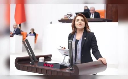 CHP Mersin Milletvekili Gülcan Kış: “Bu bütçe enerji yatırımı değil egemenlik devridir”