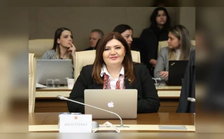 İYİ PARTİ TEKİRDAĞ MİLLETVEKİLİ SELCAN TAŞCI: “GAZLA ŞİŞİRİLMİŞ BALON GİBİ PATLAYACAK BİR BÜTÇE HEPİMİZİ YAKAR”