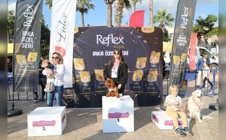 Marmaris Yeni Yıl Festivali’nde PatiFest Coşkusu: Eğlenceyle Birlikte Sahiplendirme Sevinci Yaşandı