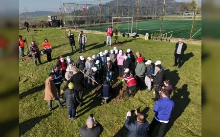 Düzce Belediyesi Bahçeşehir Demetevler’de 52 Fidan Dikti: “Yeşil Düzce” Hedefine Yeni Katkı