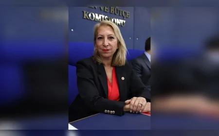 CHP Muğla Milletvekili Süreyya Öneş Derici: “Siyasallaşmış güvenlik kurumları ülkeyi gerçek tehditlere karşı savunmasız bırakır”