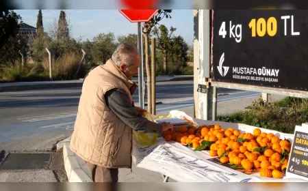 Güzelbahçe’de Güven Esaslı Satış Modeli Hayata Geçti: “Mandalinanı Tart, Parasını Kutusuna At”