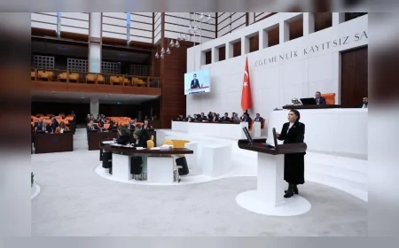 İYİ PARTİLİ SELCAN TAŞCI: “İLETİŞİM BAŞKANLIĞI PROPAGANDA BİRİMİNE DÖNÜŞTÜ BU BÜTÇE TÜKENİŞİN BELGESİDİR”