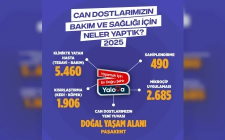 Yalova Belediyesi’nden Sokak Hayvanlarına Yıl Boyu Kesintisiz Hizmet: Binlerce Can Dosta Sağlık ve Güvence Sağlandı