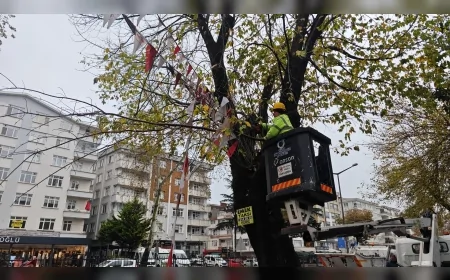 Ordu Büyükşehir Belediyesi’nden Can ve Mal Güvenliği İçin Uzman Eşliğinde Budama Çalışması Başlıyor