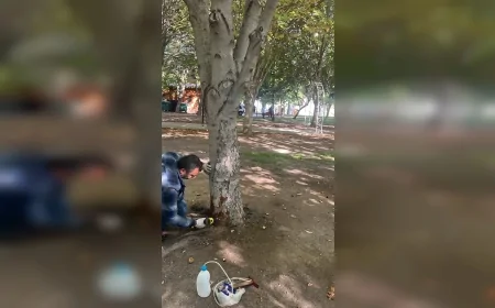 Kayseri Büyükşehir Belediye Başkanı Dr. Memduh Büyükkılıç: “Yeşil Alanlarda Arborjet Yöntemiyle Çevre Dostu Mücadeleyi Sürdürüyoruz”