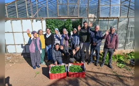 Mersin Büyükşehir Belediyesi’nin Aydıncık’ta Yüzde 70 Hibeli Hıyar Fidesi Desteği Hasada Dönüştü