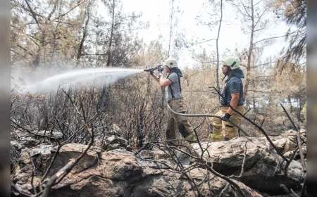 İzmir İtfaiye Dairesi Başkanı Yaşar Korkmaz: “Yangınların Yüzde 43’ü Sigara ve Kibritten Çıkıyor”