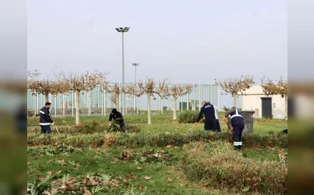Yalova Belediyesi Kent Genelinde Altyapı ve Çevre Düzenleme Çalışmalarını Aralıksız Sürdürüyor