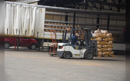 Giresun Belediyesi Yaş Sebze ve Meyve Hali’nde 2025’te 51 Bin Tonu Aşan Ürün Girişi Gerçekleşti