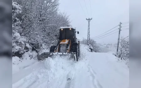 Ordu Büyükşehir Belediyesi Karla Mücadelede Teyakkuzda: 417 Araç ve 600 Personel 7 Gün 24 Saat Sahada