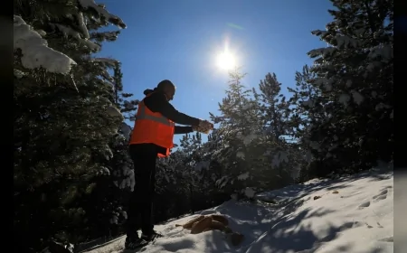 Elazığ Belediyesi Kış Şartlarında Sokak Hayvanları ve Yaban Hayatı İçin Doğaya Yem Bıraktı