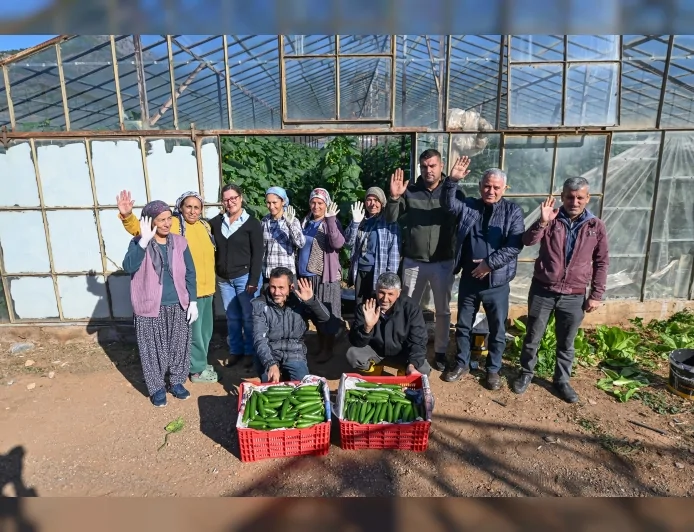 Mersin Büyükşehir Belediyesi’nin Aydıncık’ta Yüzde 70 Hibeli Hıyar Fidesi Desteği Hasada Dönüştü