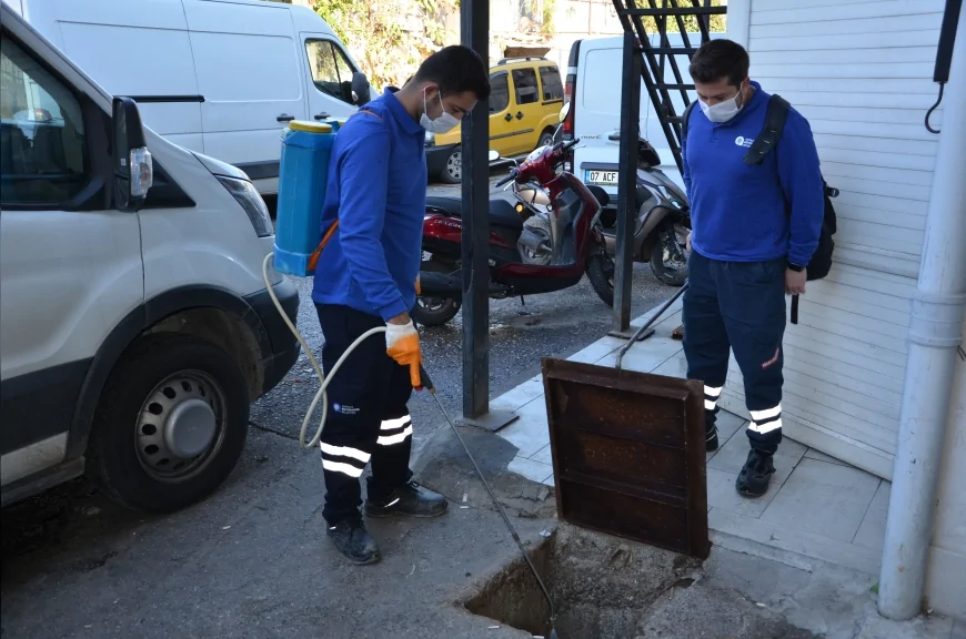 Antalya Büyükşehir Belediyesi Alanya’da yaz mevsimi boyunca artan sinek ve haşere yoğunluğuna karşı kapsamlı vektörel mücadele çalışmalarını kent genelinde sürdürüyor