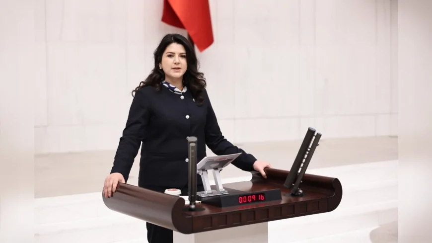MHP Çankırı Milletvekili Pelin Yılık: “Sağlık harcamaları gider değil sağlıklı nesiller için yatırımdır”